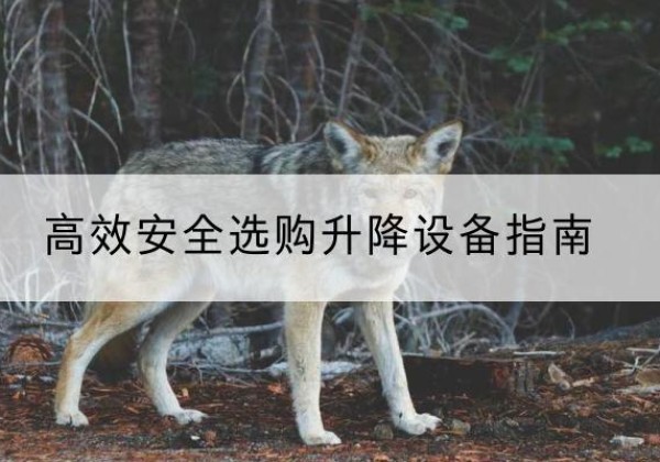 大祥升降货梯厂家推荐-*安全选购升降设备指南