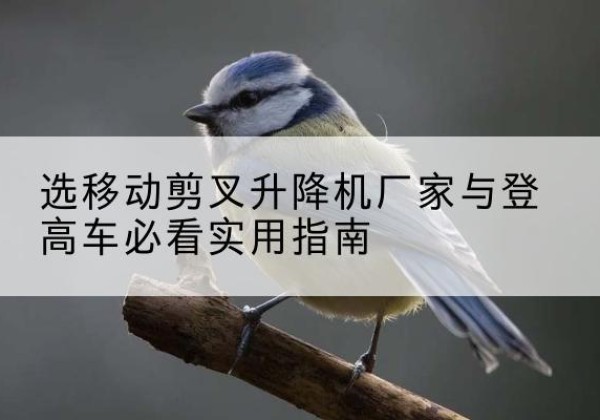 大祥电动升降机厂家-选移动剪叉升降机厂家与登高车必看实用指南