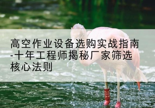 大祥剪叉式升降机厂家-高空作业设备选购实战指南-十年工程师揭秘厂家筛选核心法则